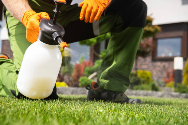 Best Termite Control Services  in Fremont, IN