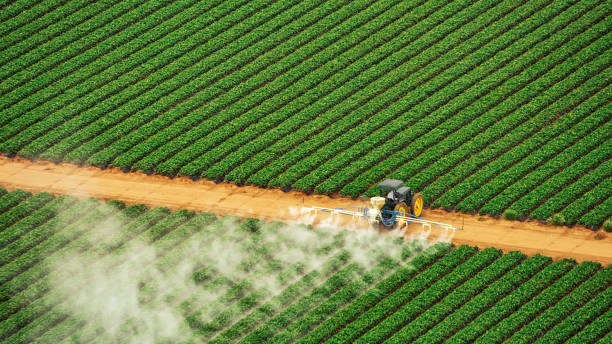 Best Pest Control for Businesses  in Fremont, IN