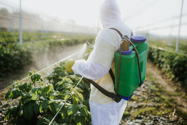 Best Flea Control Services  in Fremont, IN